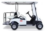 Elektro Golfcart GCE2/2, 4000 W, SolidHub