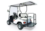 Elektro Golfcart GCE2/2, 4000 W, SolidHub