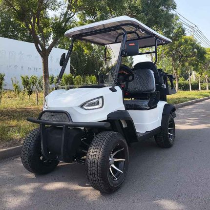 QS-L new edition golf cart Brand New, Finance